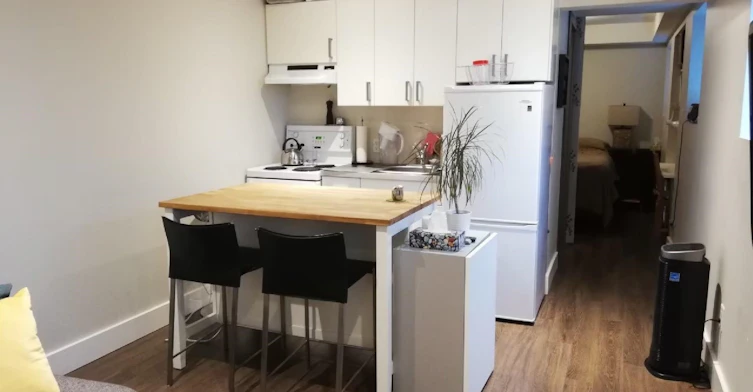 2016 East 7th Avenue Basement Suite, Vancouver, BC, V5N 1S6