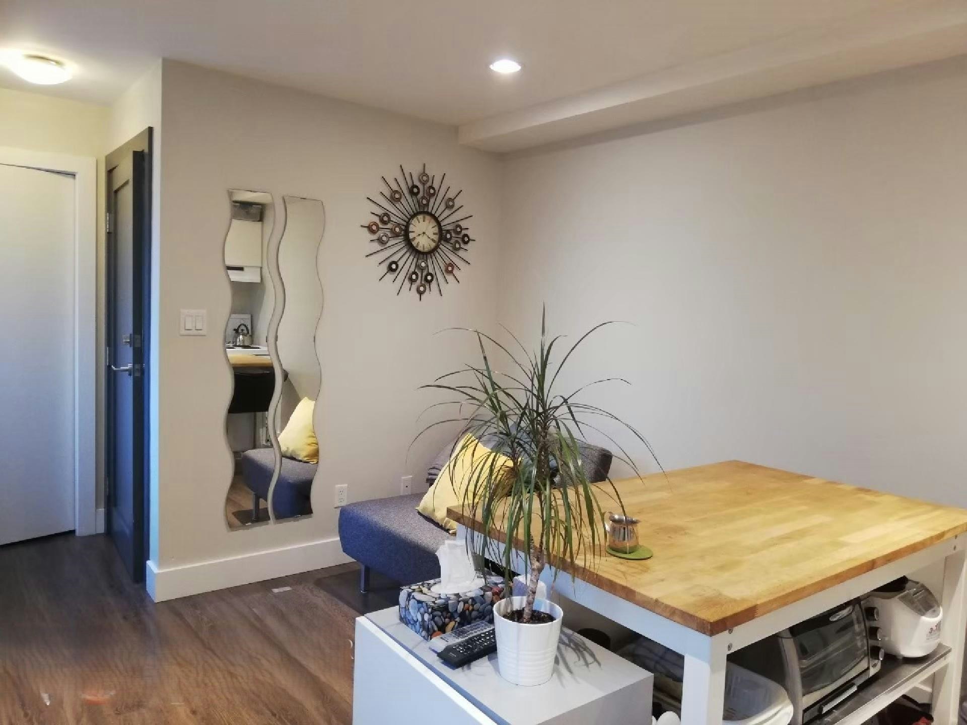 2016 East 7th Avenue Basement Suite, Vancouver, BC, V5N 1S6 - 3