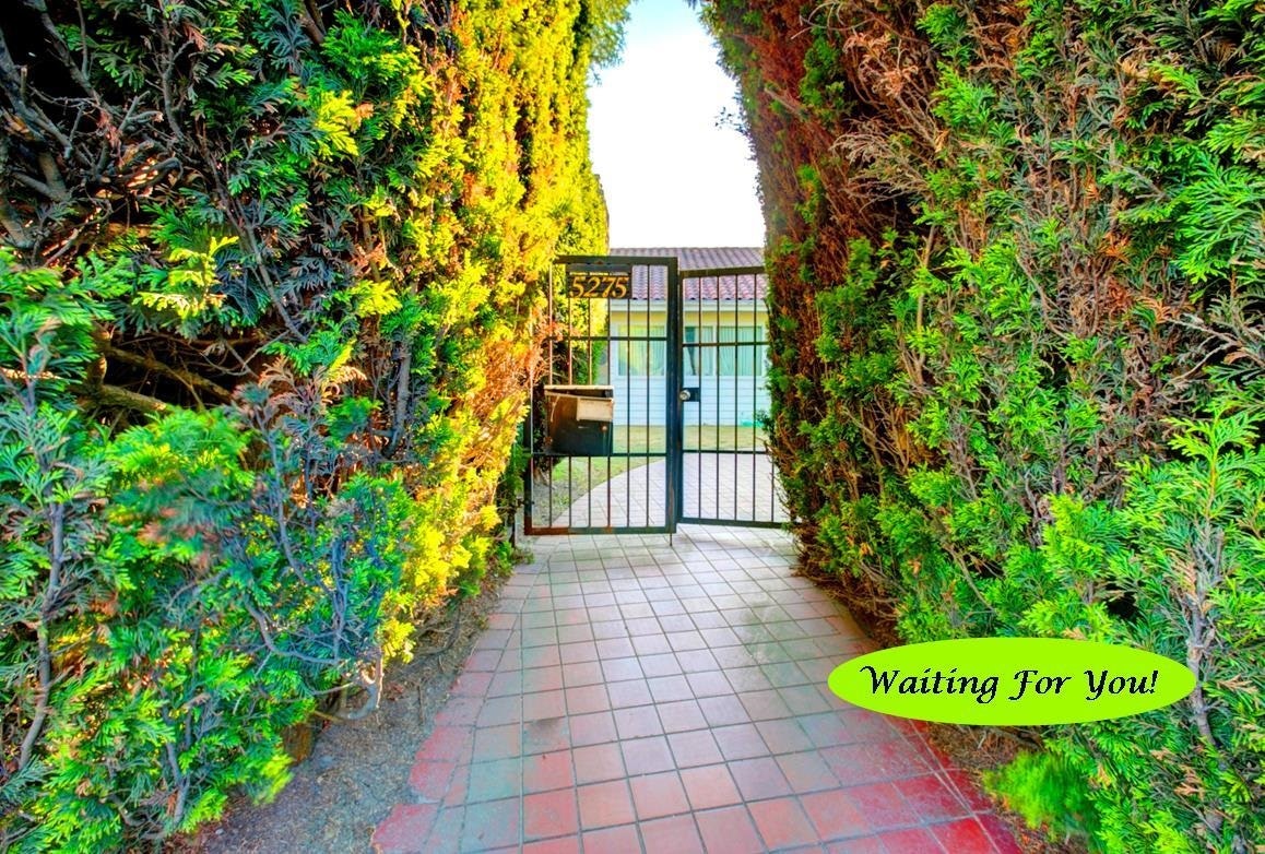5275 Granville Street - 3