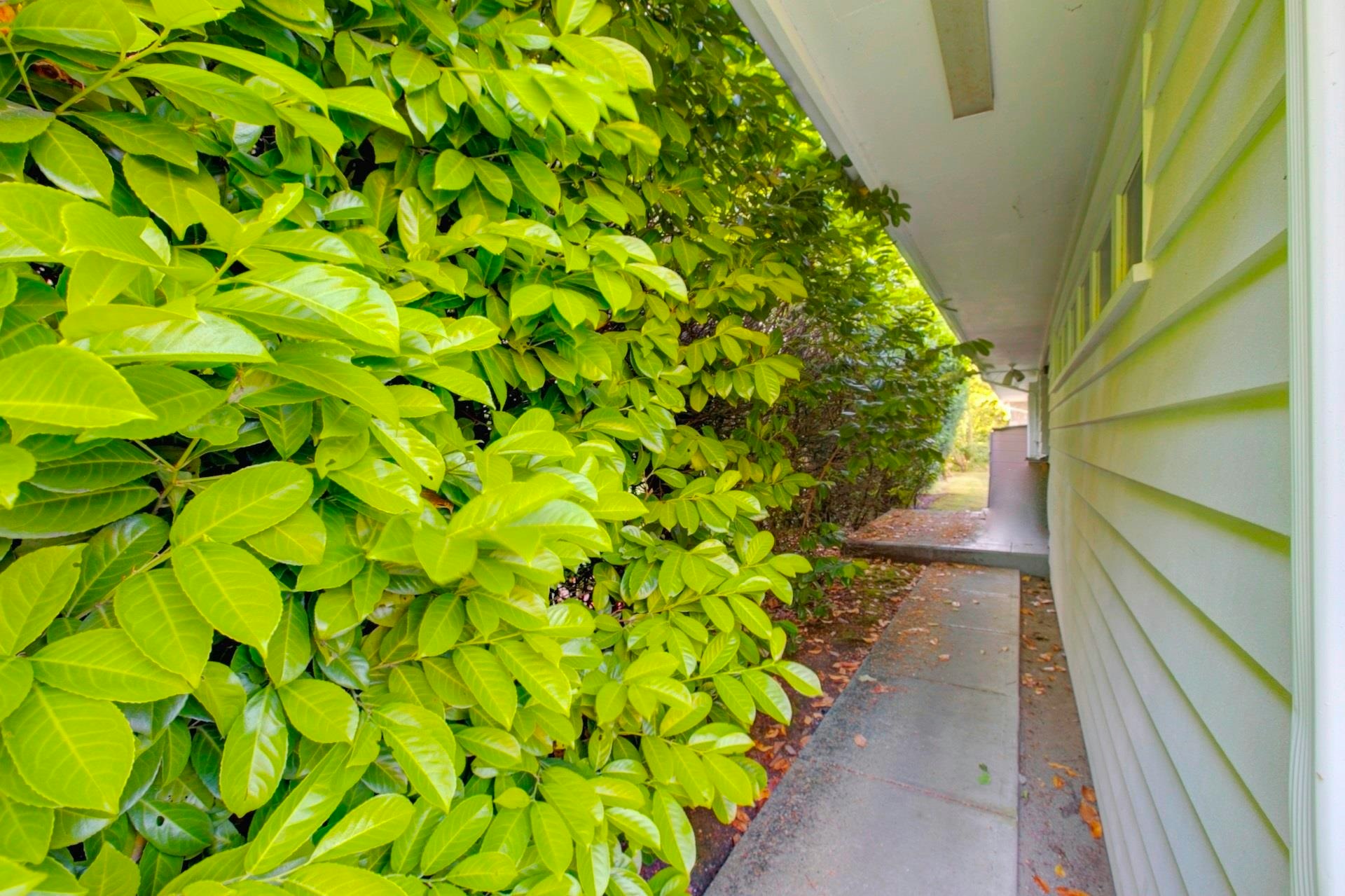 5275 Granville Street, Vancouver, BC, V6M 3B9 - 14