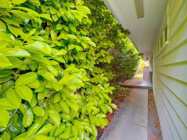 5275 Granville Street, Vancouver, BC, V6M 3B9 - 14