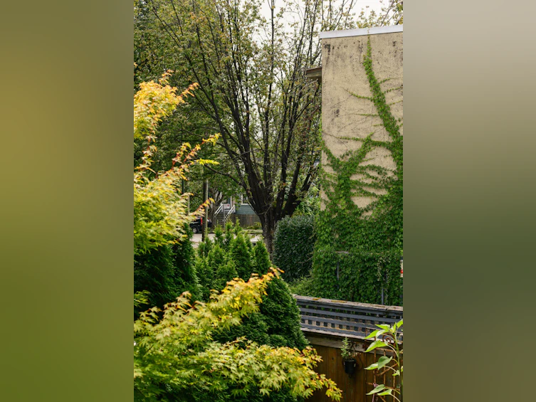 209-2173 W 6 Avenue, Vancouver, BC, V6K 1V5 - 18