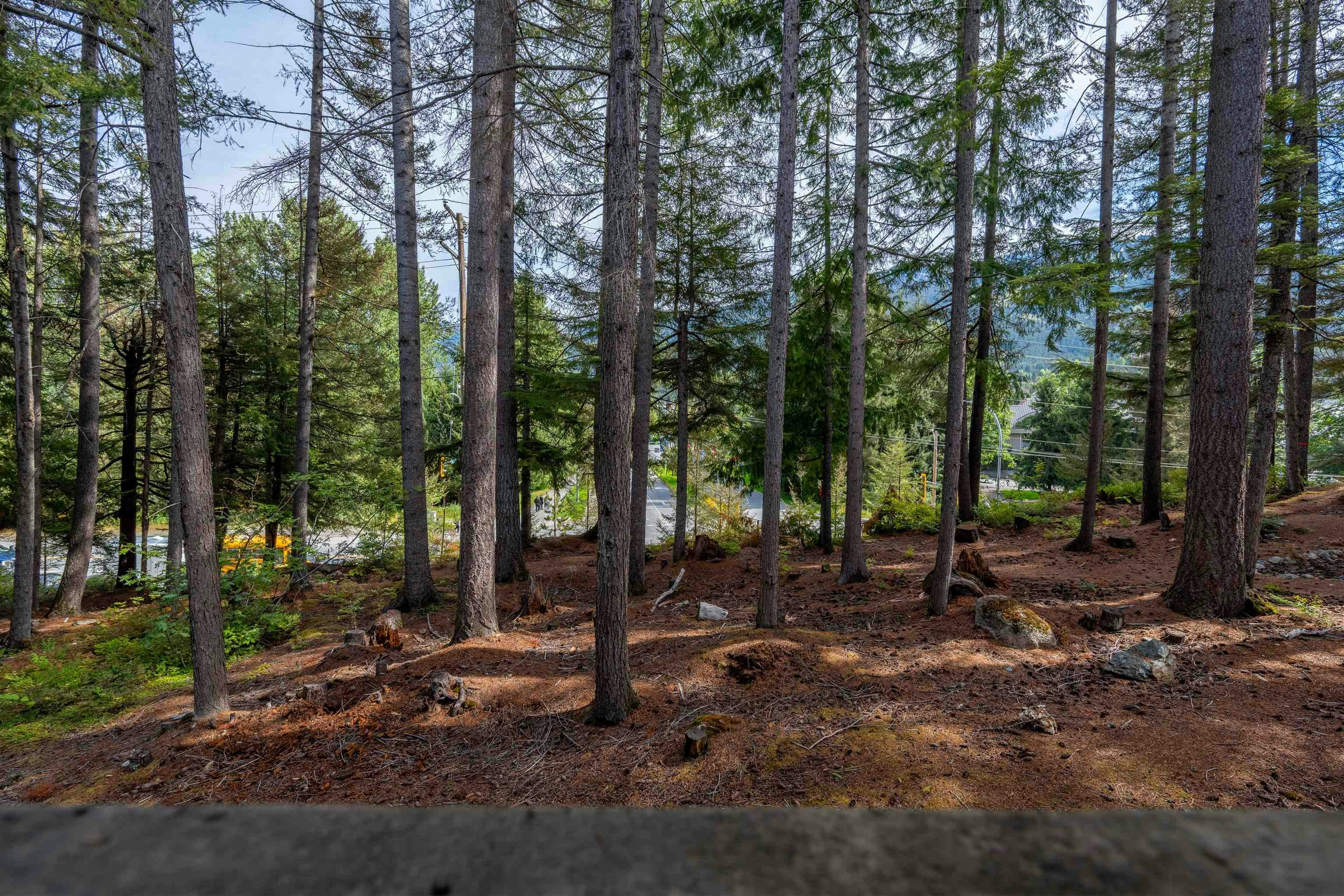 62-6127 Eagleridge Crescent, Whistler, BC, V8E 0W7 - 7