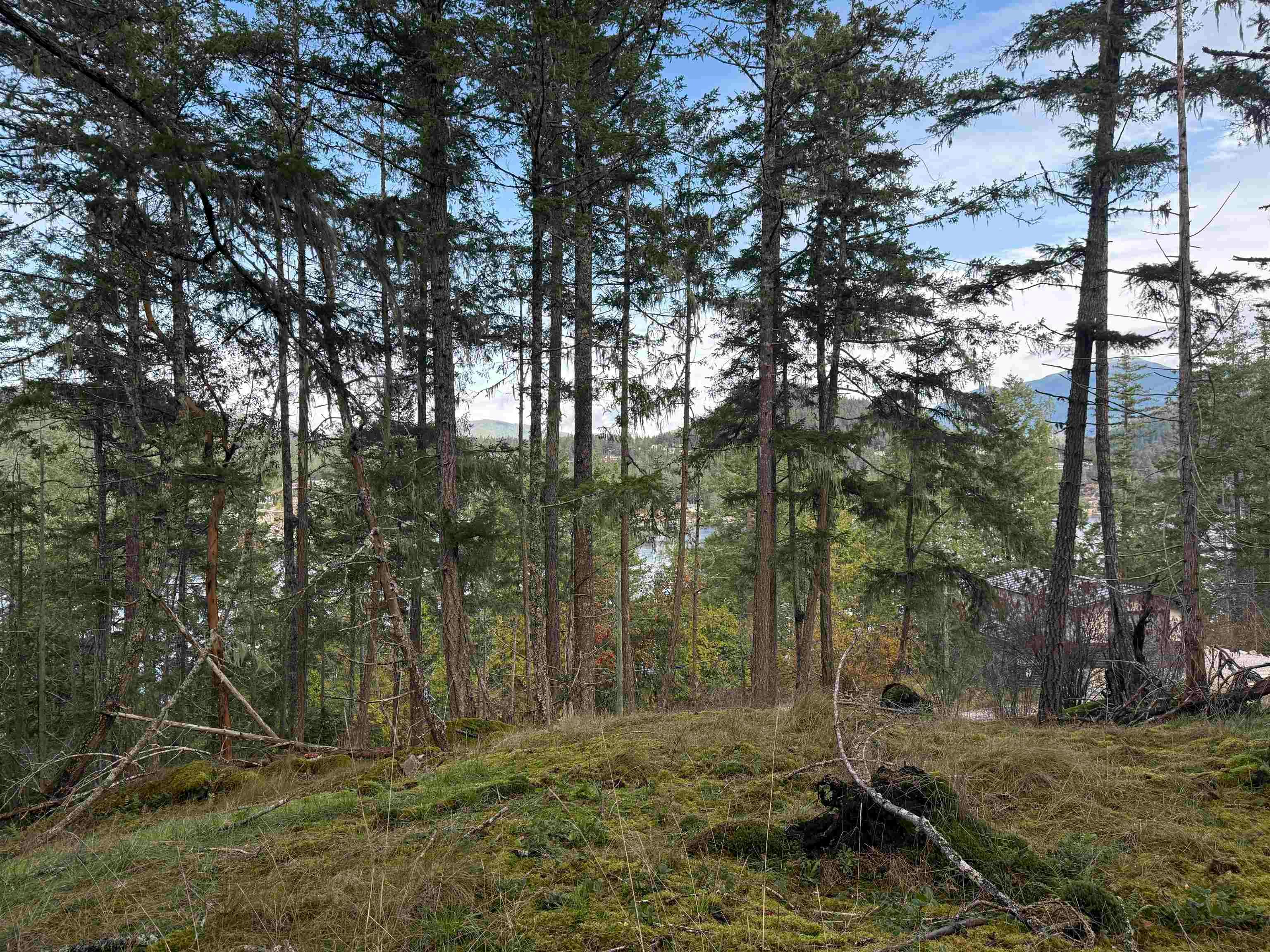 LOT B Francis Peninsula Road, Pender Harbour Egmont, BC, V0N 2H1 - 9