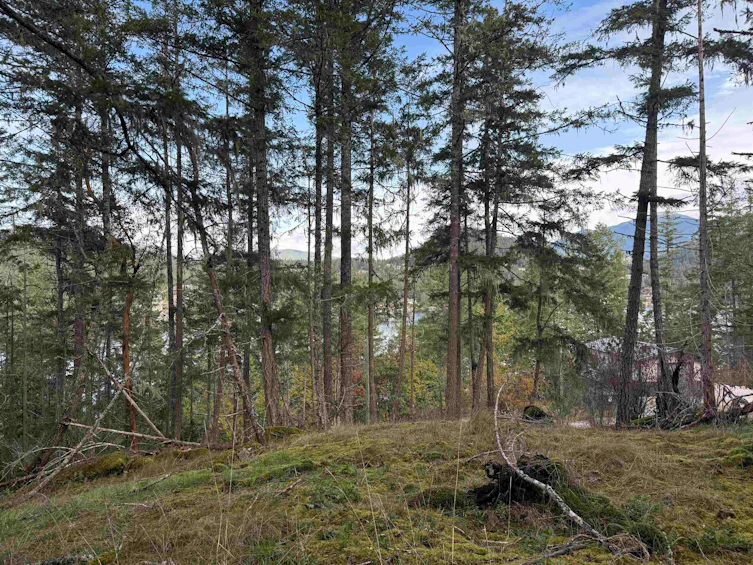 LOT B Francis Peninsula Road, Pender Harbour Egmont, BC, V0N 2H1 - 9
