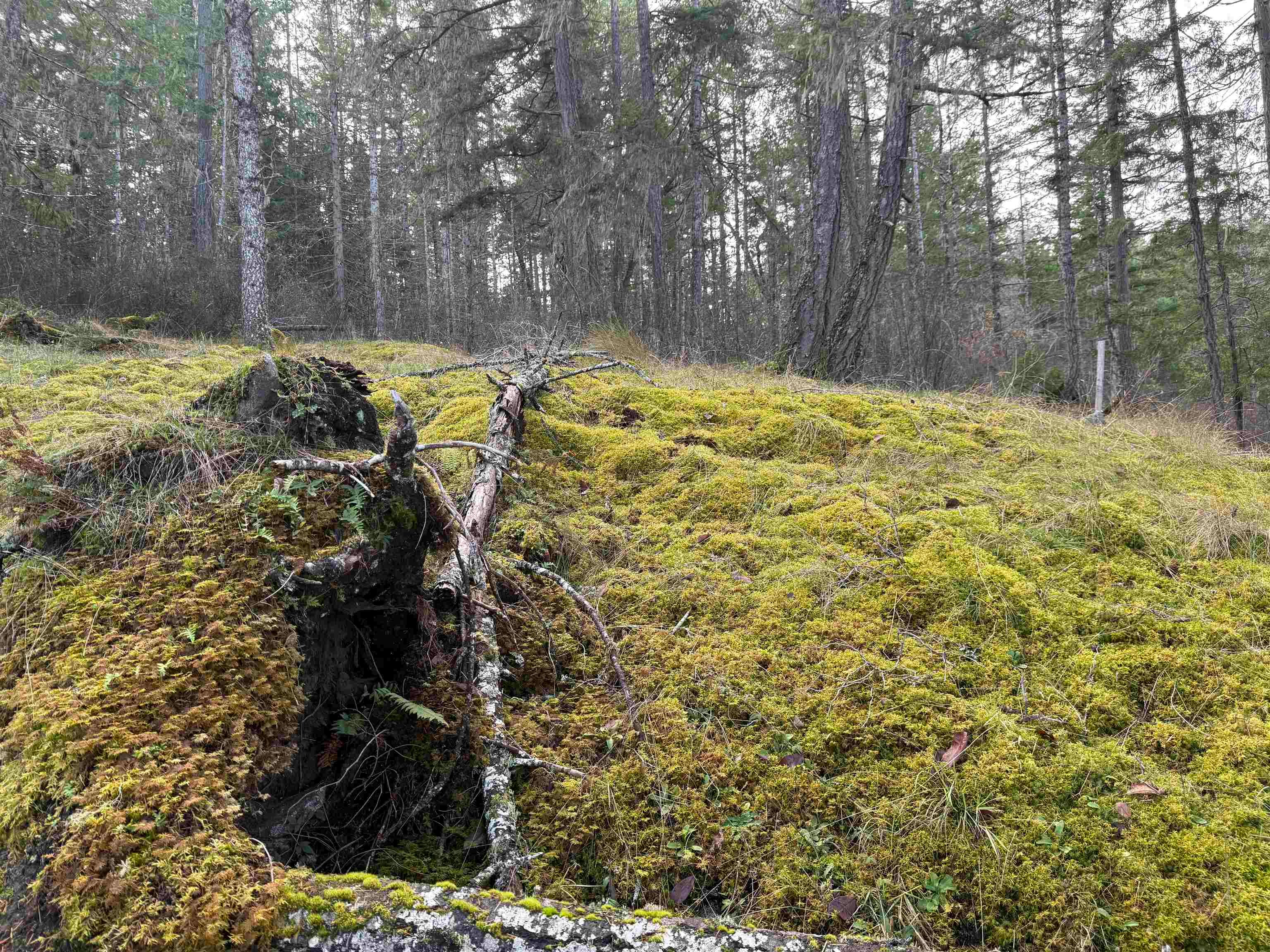 LOT B Francis Peninsula Road, Pender Harbour Egmont, BC, V0N 2H1 - 13