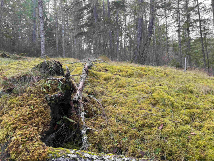 LOT B Francis Peninsula Road, Pender Harbour Egmont, BC, V0N 2H1 - 13