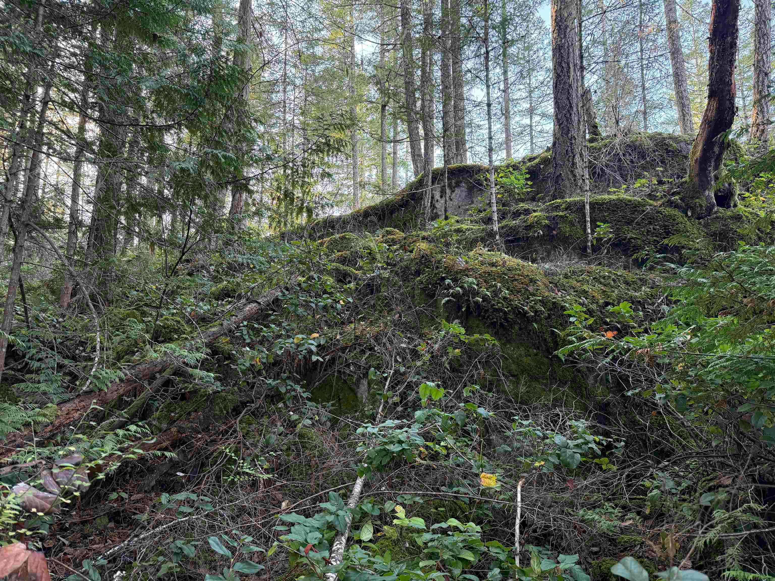 LOT B Francis Peninsula Road, Pender Harbour Egmont, BC, V0N 2H1 - 20