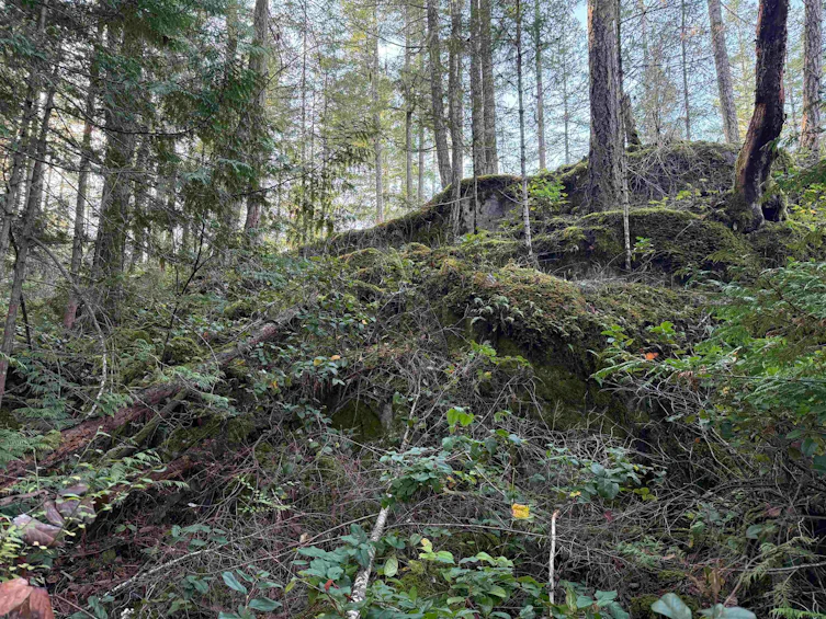 LOT B Francis Peninsula Road, Pender Harbour Egmont, BC, V0N 2H1 - 20
