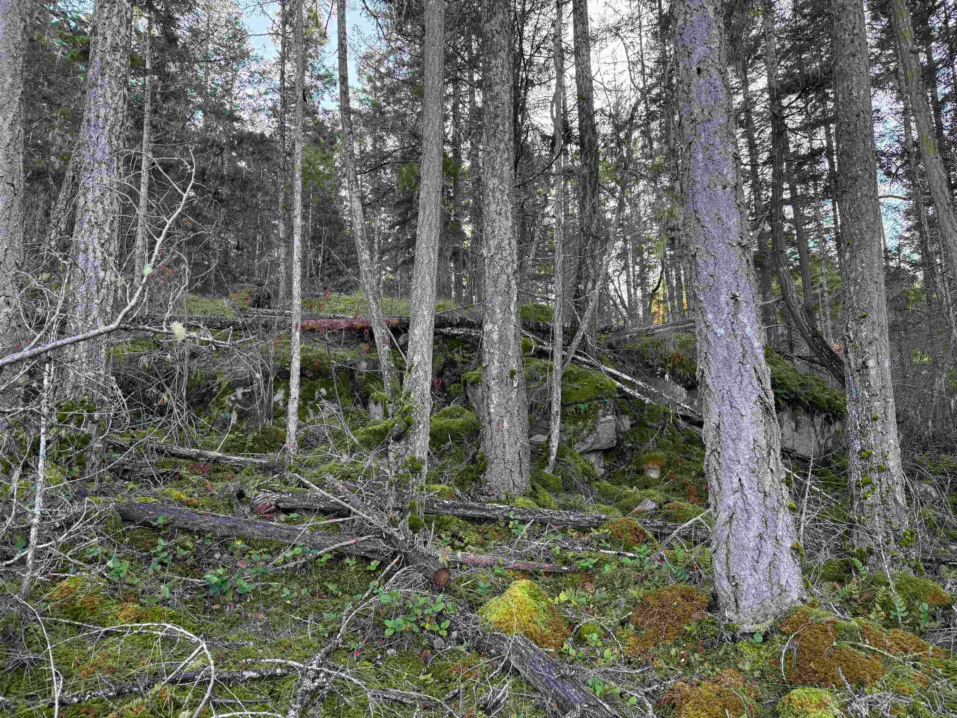 LOT B Francis Peninsula Road, Pender Harbour Egmont, BC, V0N 2H1 - 22
