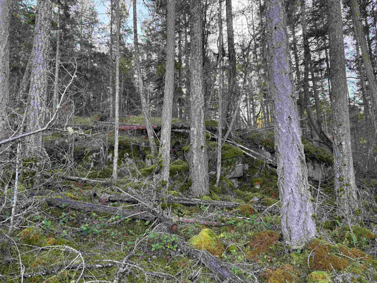 LOT B Francis Peninsula Road, Pender Harbour Egmont, BC, V0N 2H1 - 22