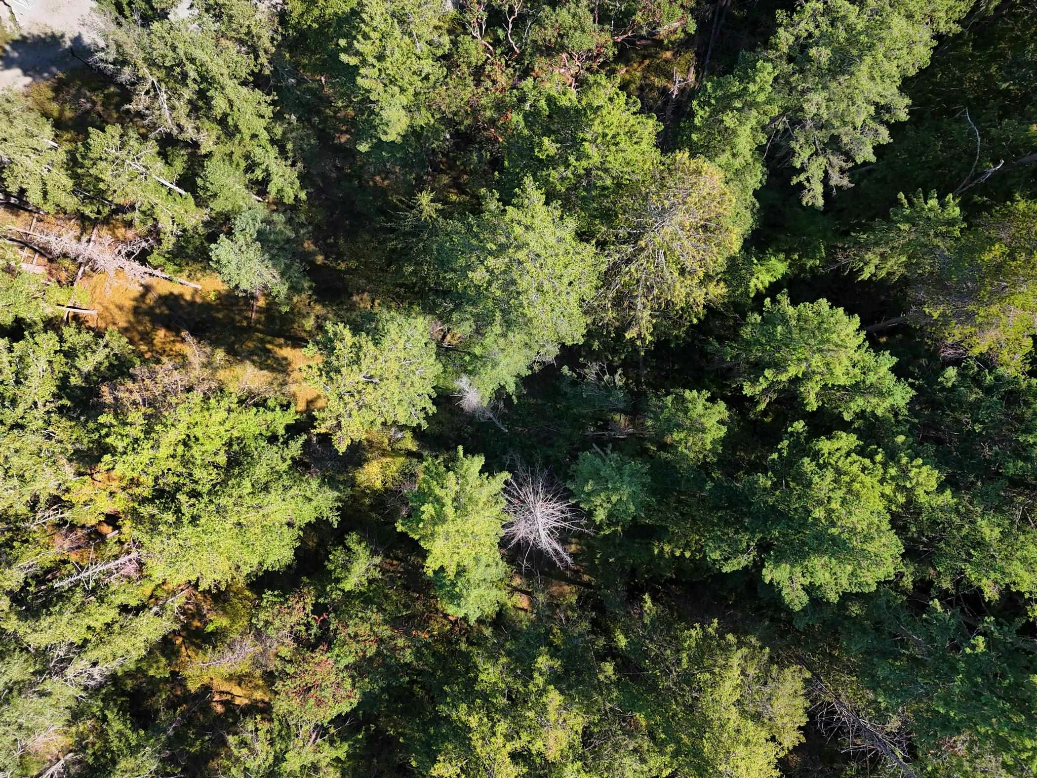LOT B Francis Peninsula Road, Pender Harbour Egmont, BC, V0N 2H1 - 7