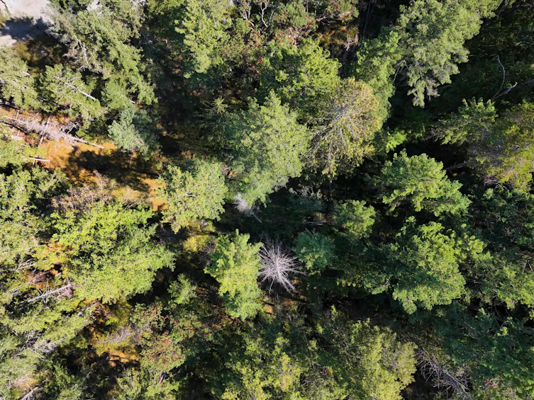 LOT B Francis Peninsula Road, Pender Harbour Egmont, BC, V0N 2H1 - 7
