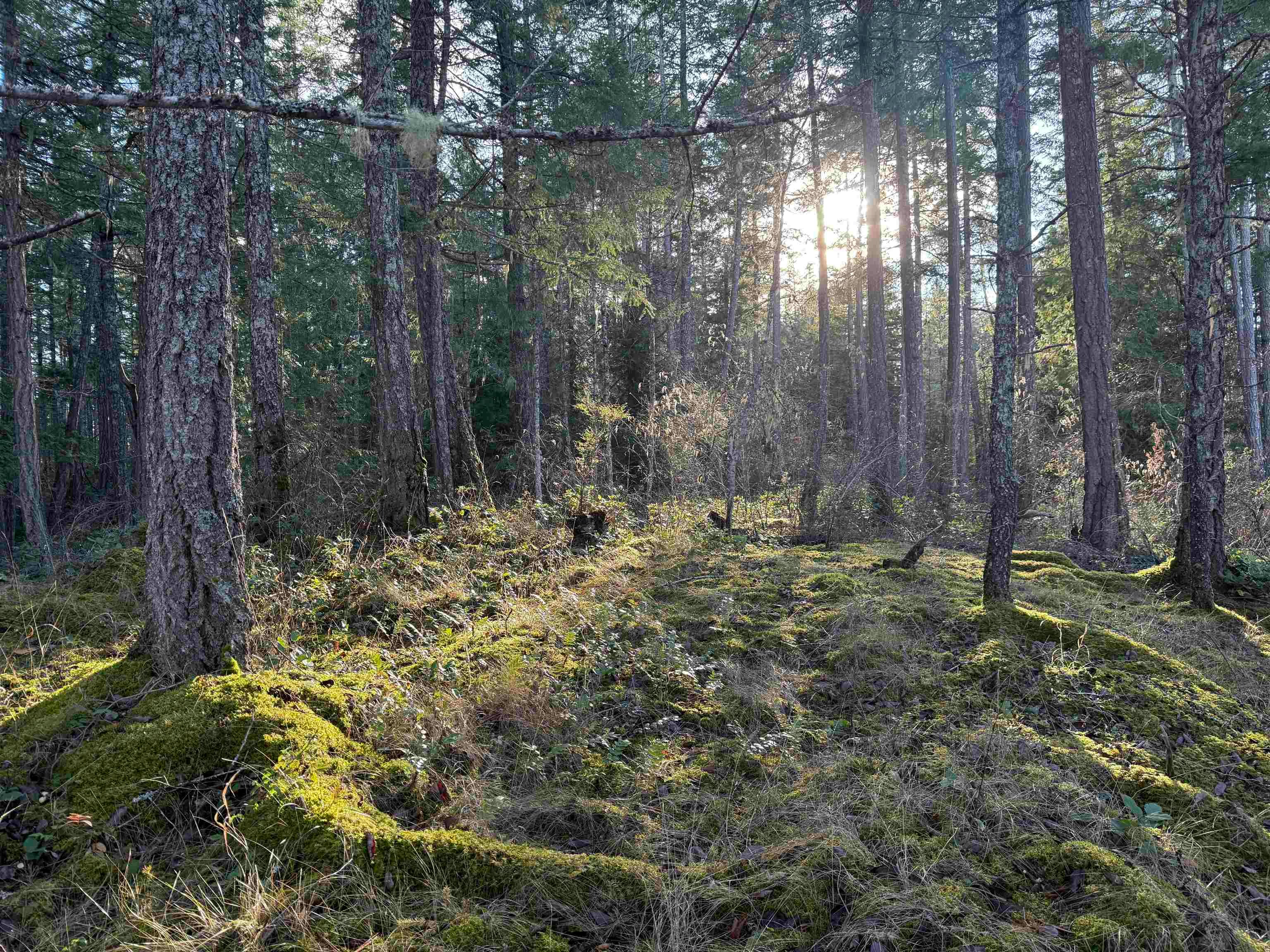 LOT B Francis Peninsula Road, Pender Harbour Egmont, BC, V0N 2H1 - 10