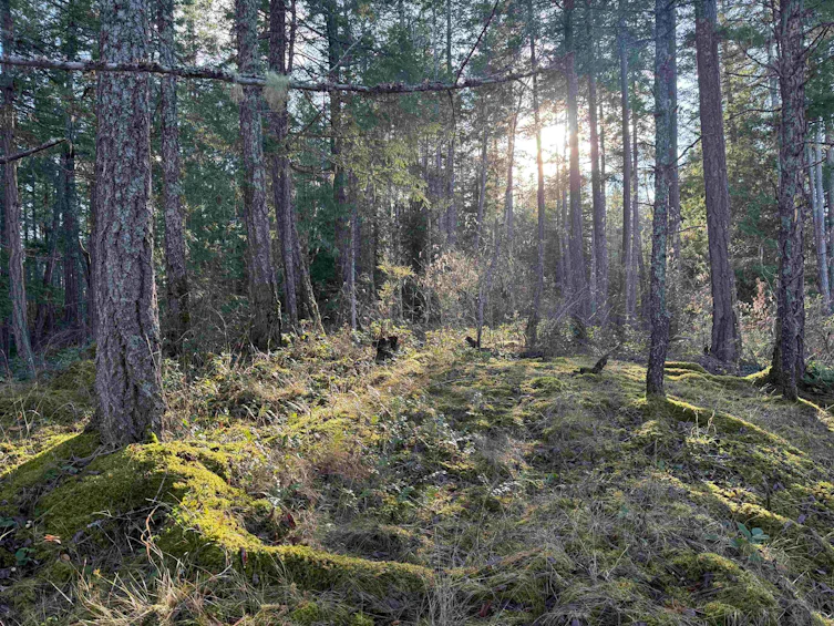LOT B Francis Peninsula Road, Pender Harbour Egmont, BC, V0N 2H1 - 10