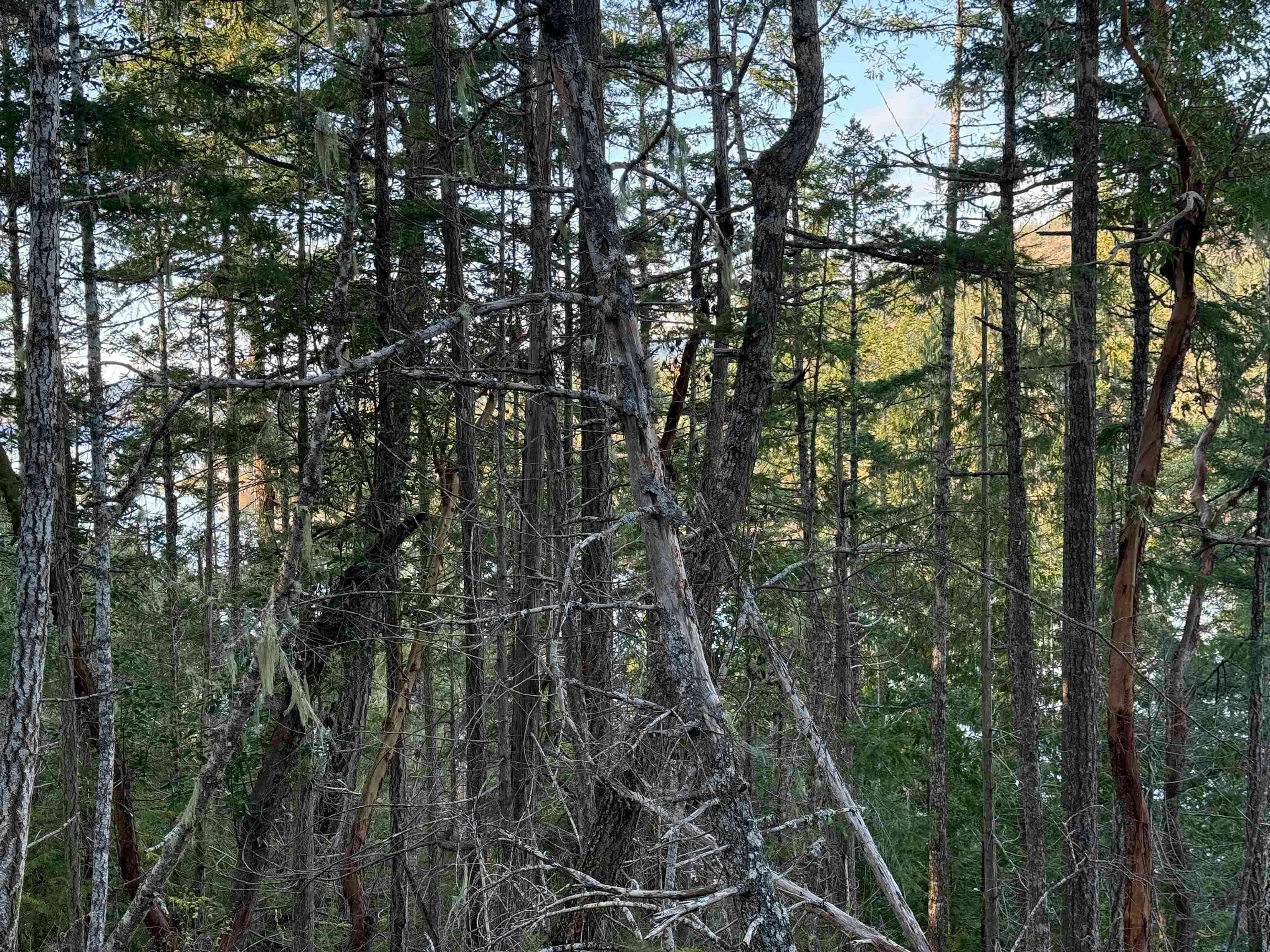 LOT B Francis Peninsula Road, Pender Harbour Egmont, BC, V0N 2H1 - 17