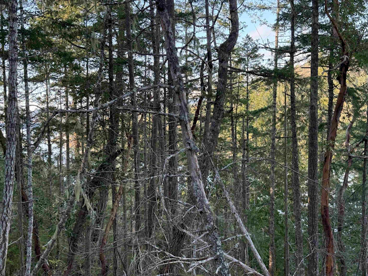 LOT B Francis Peninsula Road, Pender Harbour Egmont, BC, V0N 2H1 - 17