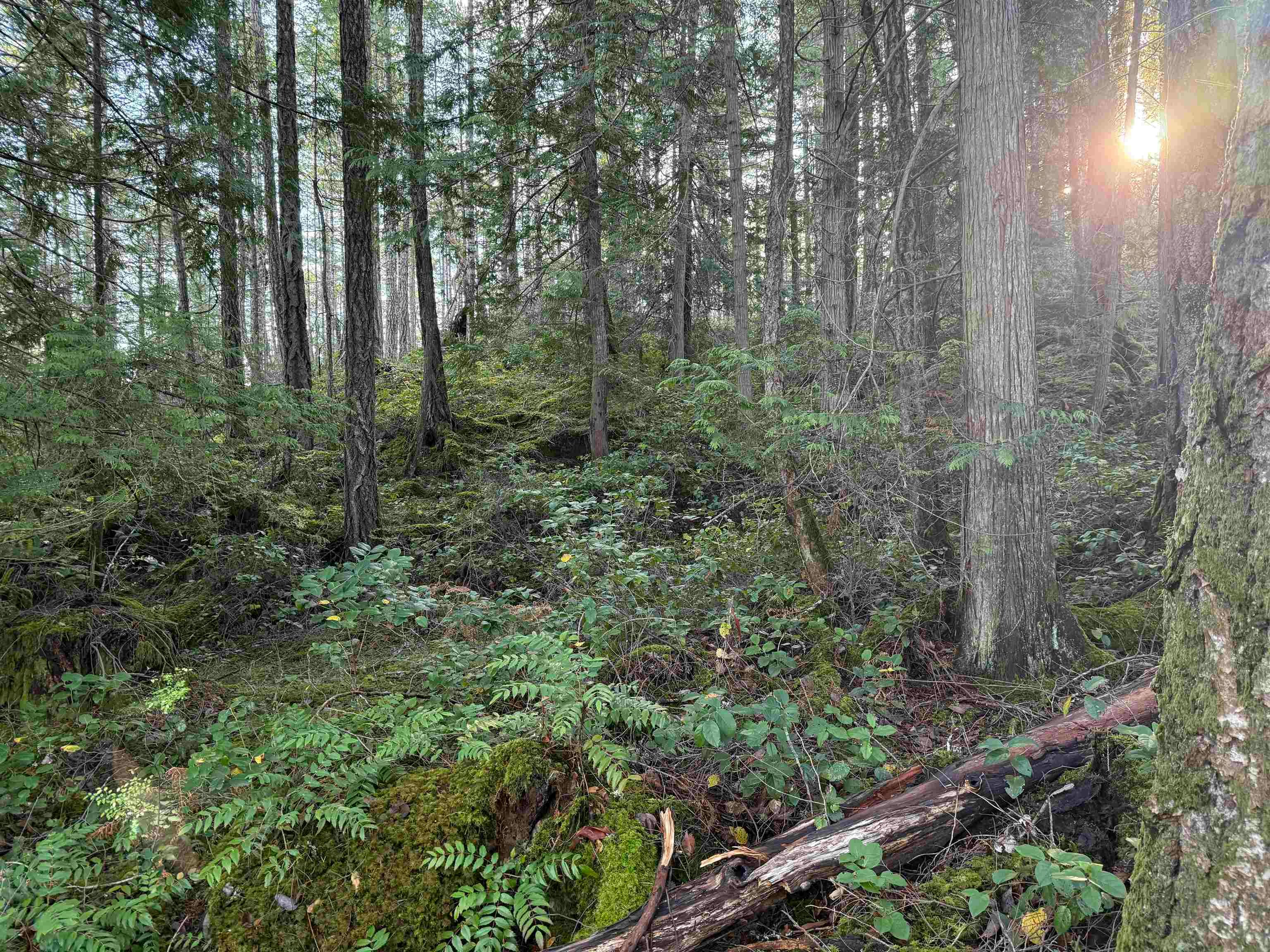 LOT B Francis Peninsula Road, Pender Harbour Egmont, BC, V0N 2H1 - 18