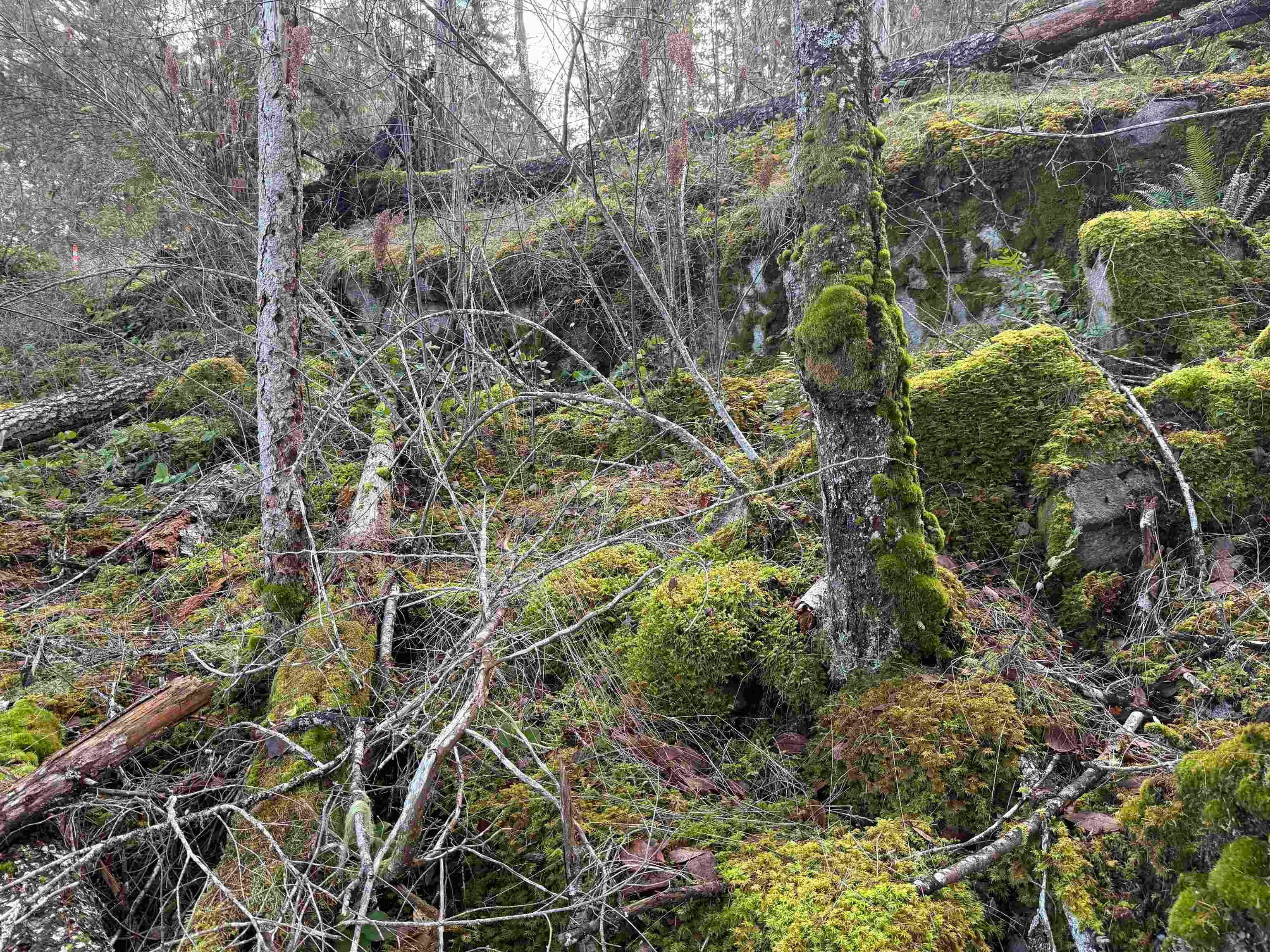 LOT B Francis Peninsula Road, Pender Harbour Egmont, BC, V0N 2H1 - 23