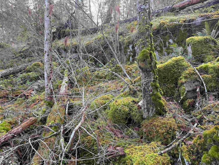LOT B Francis Peninsula Road, Pender Harbour Egmont, BC, V0N 2H1 - 23