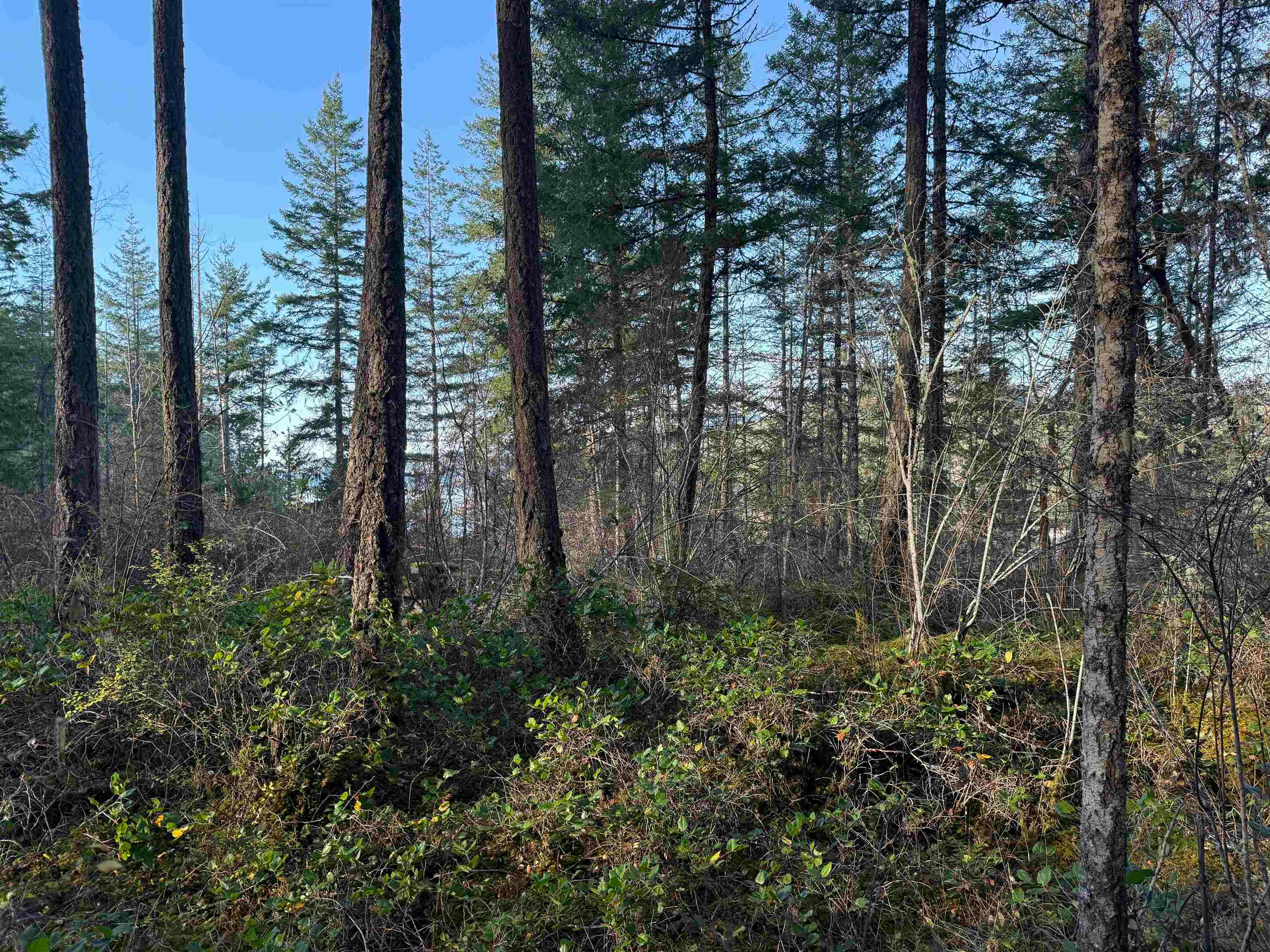 LOT B Francis Peninsula Road, Pender Harbour Egmont, BC, V0N 2H1 - 11