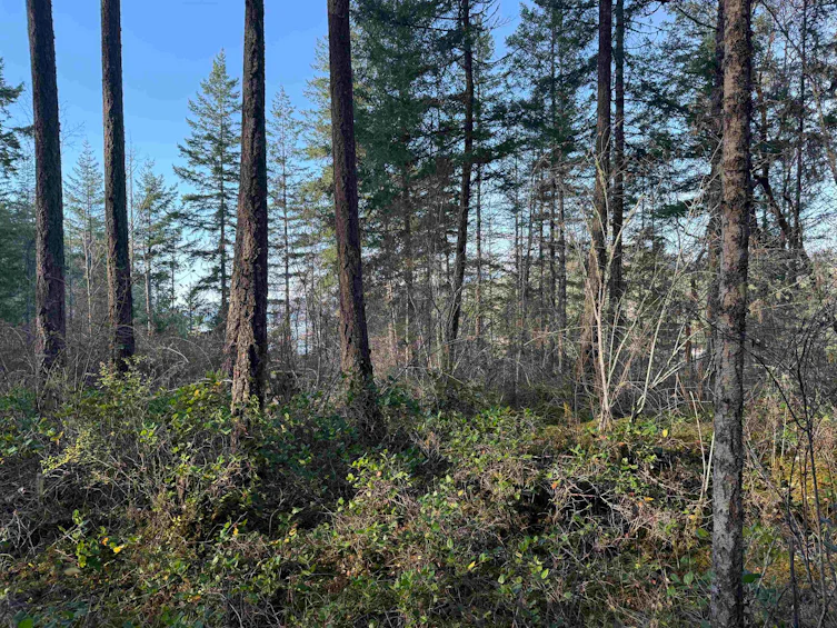 LOT B Francis Peninsula Road, Pender Harbour Egmont, BC, V0N 2H1 - 11