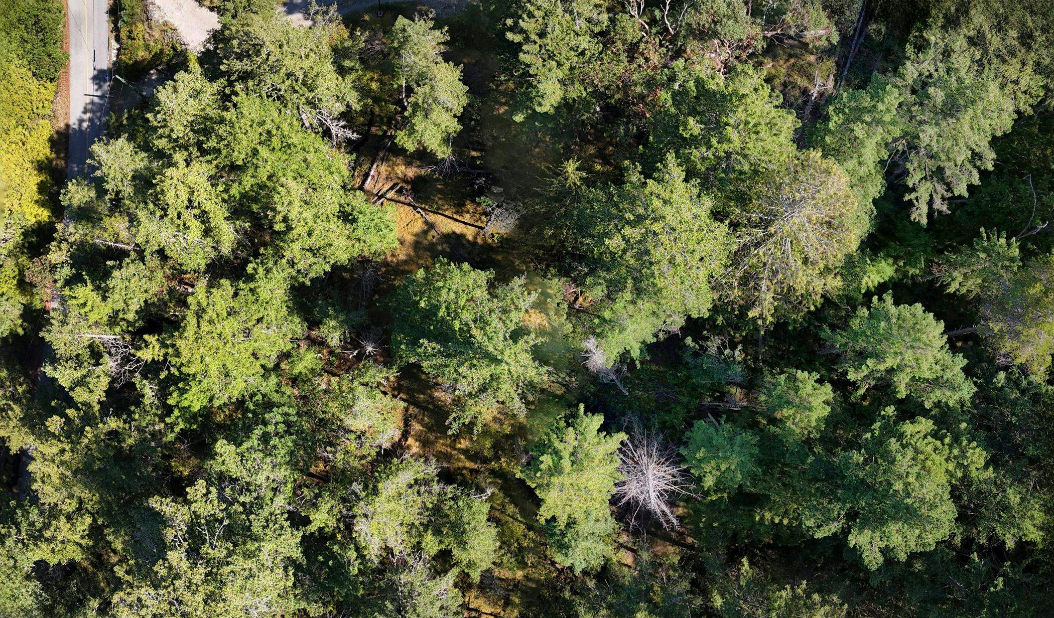 LOT B Francis Peninsula Road, Pender Harbour Egmont, BC, V0N 2H1 - 4