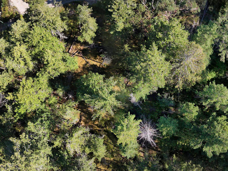 LOT B Francis Peninsula Road, Pender Harbour Egmont, BC, V0N 2H1 - 4