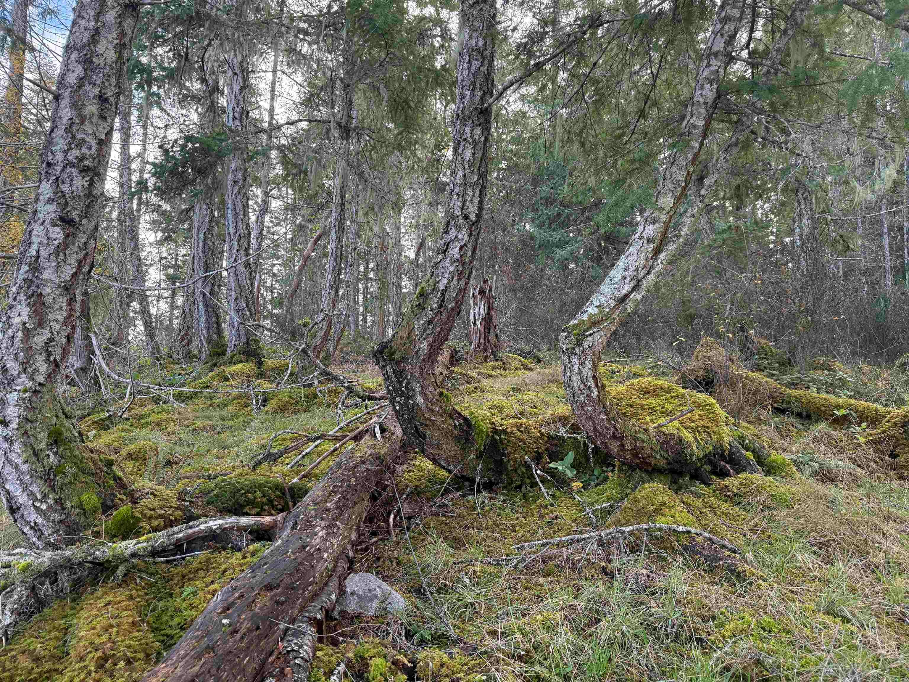LOT B Francis Peninsula Road, Pender Harbour Egmont, BC, V0N 2H1 - 24
