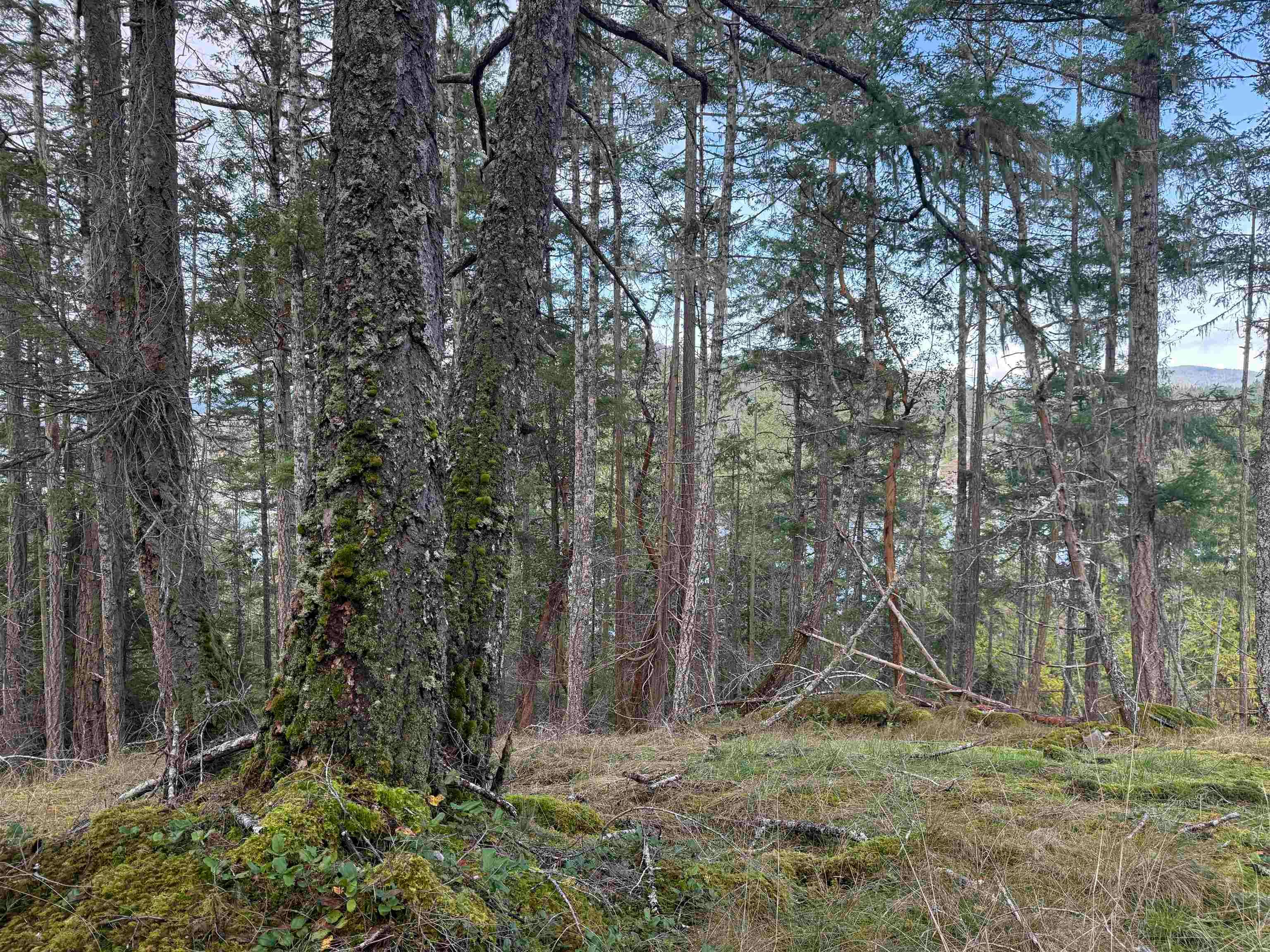 LOT B Francis Peninsula Road, Pender Harbour Egmont, BC, V0N 2H1 - 14