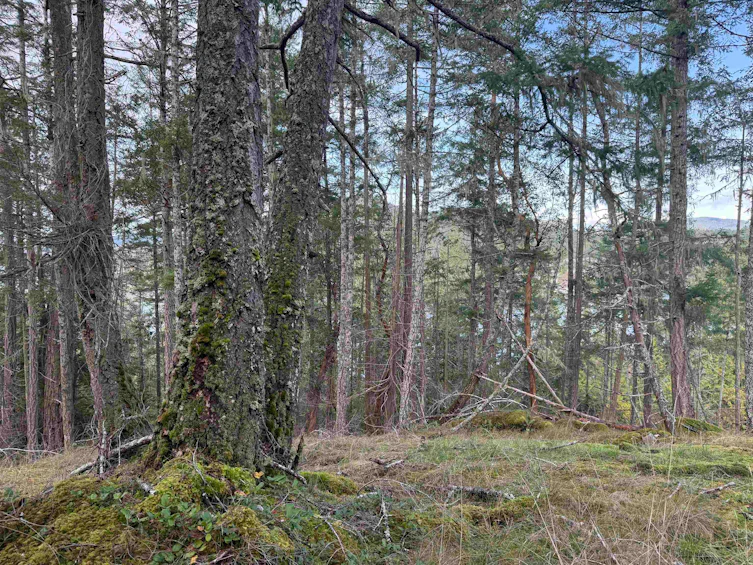 LOT B Francis Peninsula Road, Pender Harbour Egmont, BC, V0N 2H1 - 14