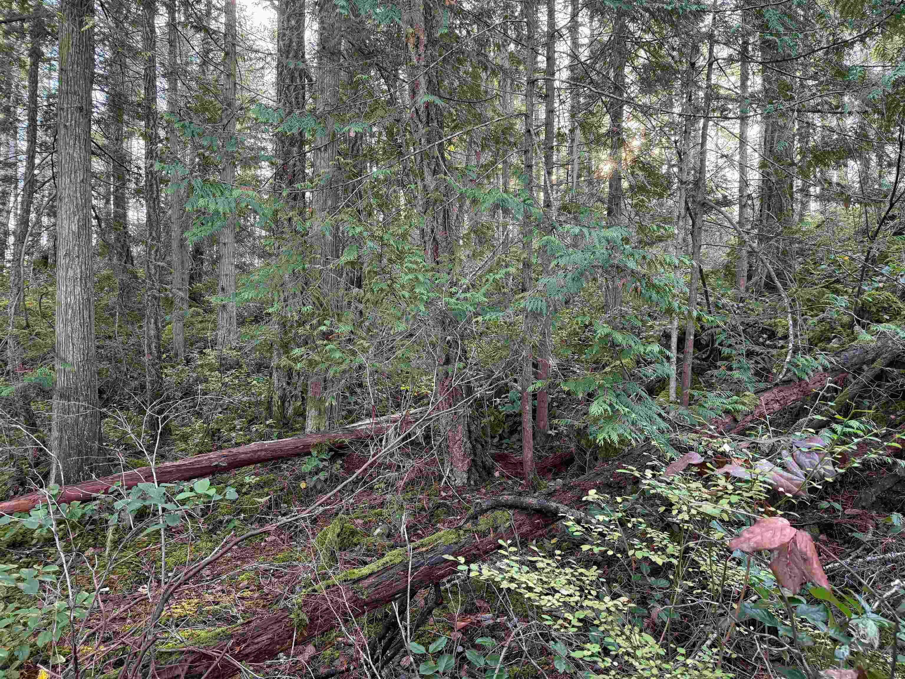 LOT B Francis Peninsula Road, Pender Harbour Egmont, BC, V0N 2H1 - 16