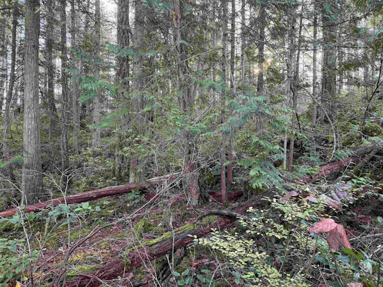 LOT B Francis Peninsula Road, Pender Harbour Egmont, BC, V0N 2H1 - 16