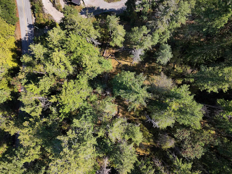 LOT B Francis Peninsula Road, Pender Harbour Egmont, BC, V0N 2H1 - 6