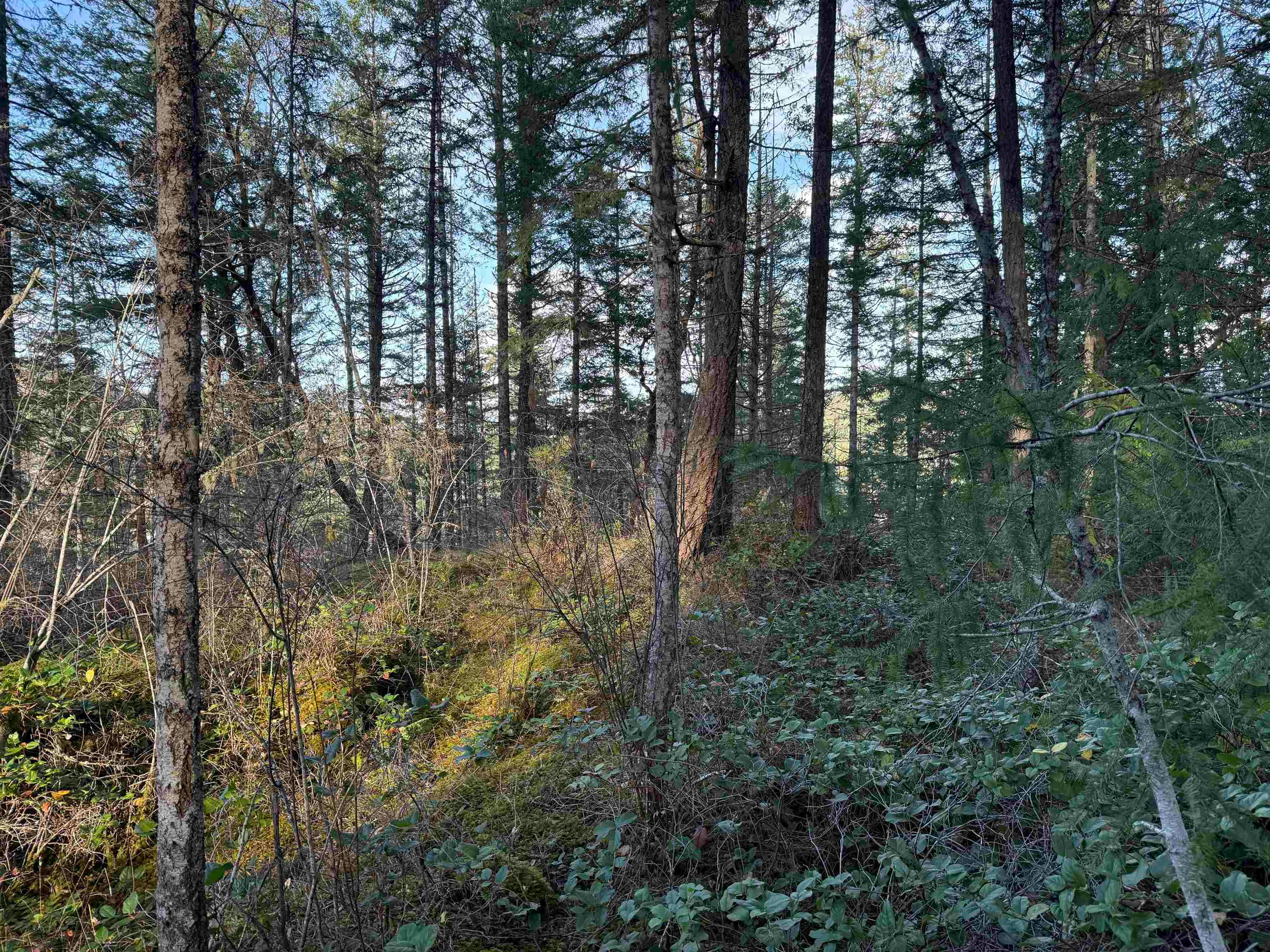 LOT B Francis Peninsula Road, Pender Harbour Egmont, BC, V0N 2H1 - 21