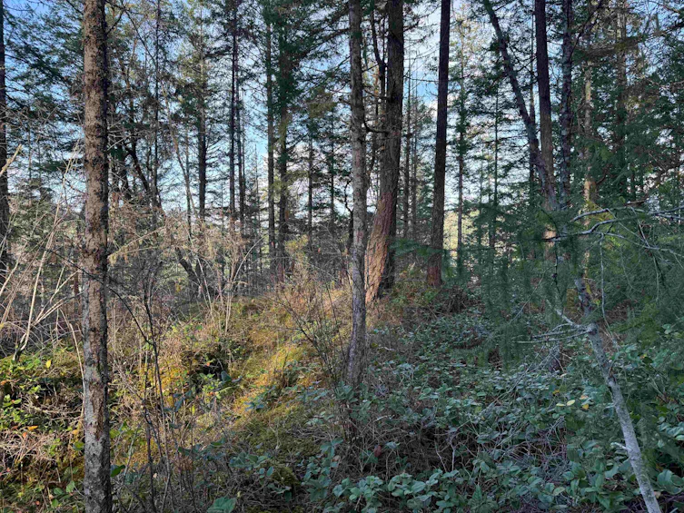 LOT B Francis Peninsula Road, Pender Harbour Egmont, BC, V0N 2H1 - 21
