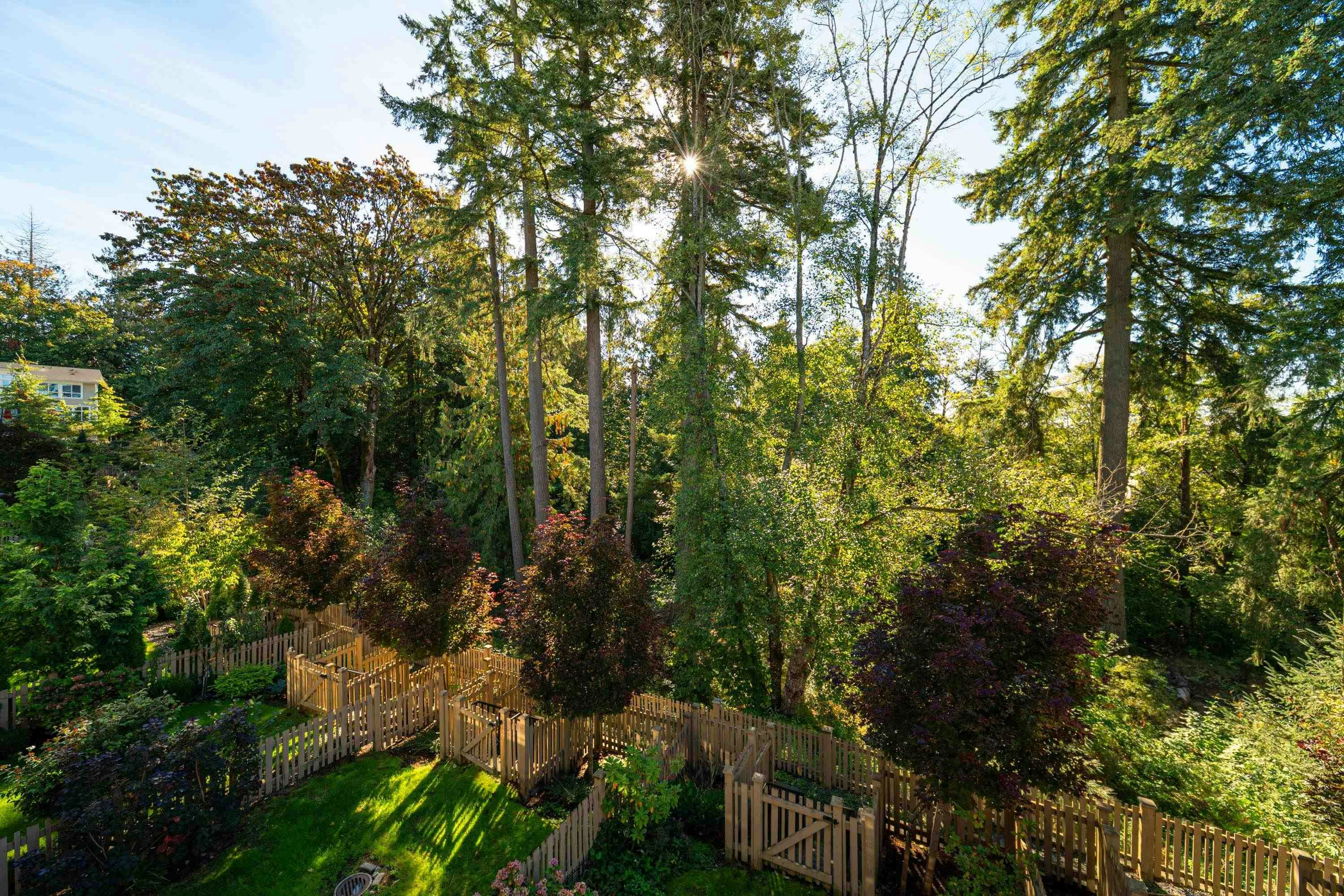 66-24108 104 Avenue, Maple Ridge, BC, V2W 0J5 - 9