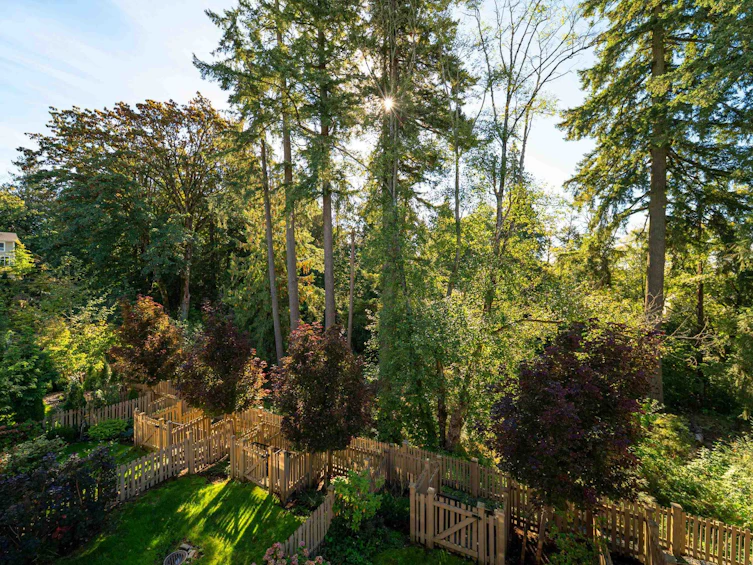 66-24108 104 Avenue, Maple Ridge, BC, V2W 0J5 - 9