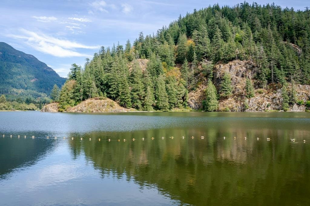 43885 Chestnut Lane, Mission, BC, V0M 1N0 - 37