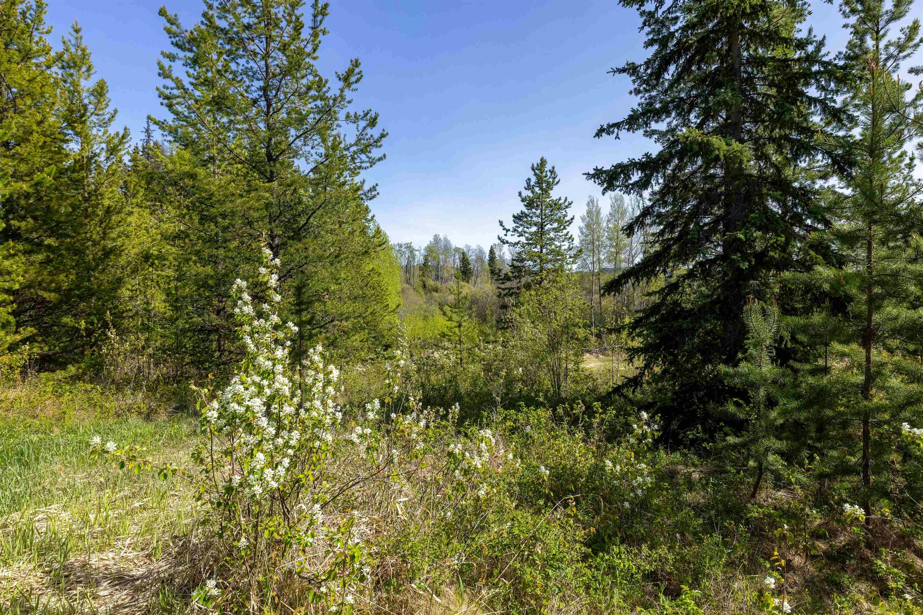 1000 Tachie Road, Fort St. James, BC, V0J 1P0 - 19