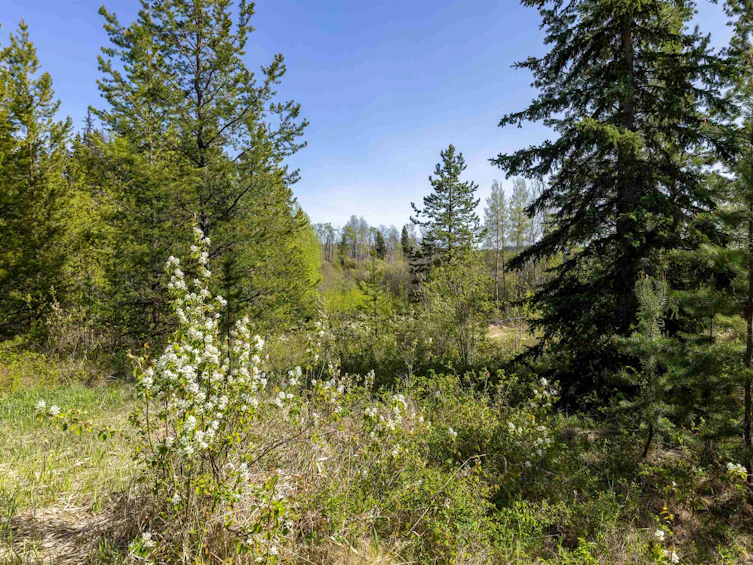 1000 Tachie Road, Fort St. James, BC, V0J 1P0 - 19