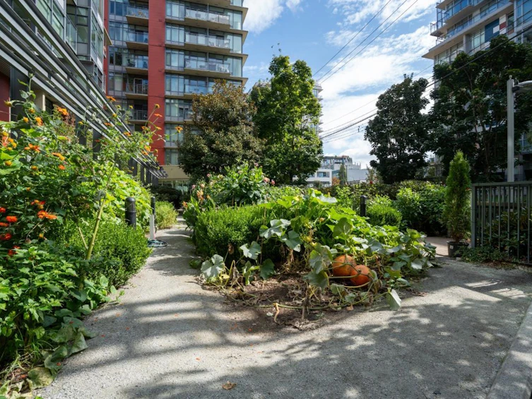906-38 W 1st Avenue, Vancouver, BC, V5Y 0K3 - 26