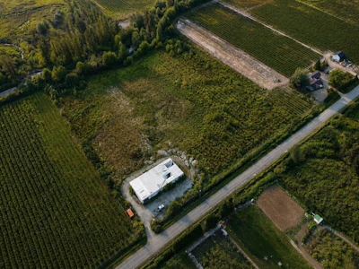 11185 Farms Road - 3