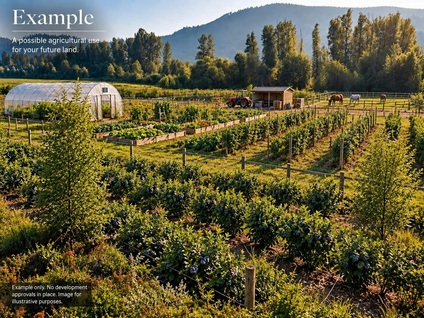 11185 Farms Road, Mission, BC, V2V 4J1 - 13