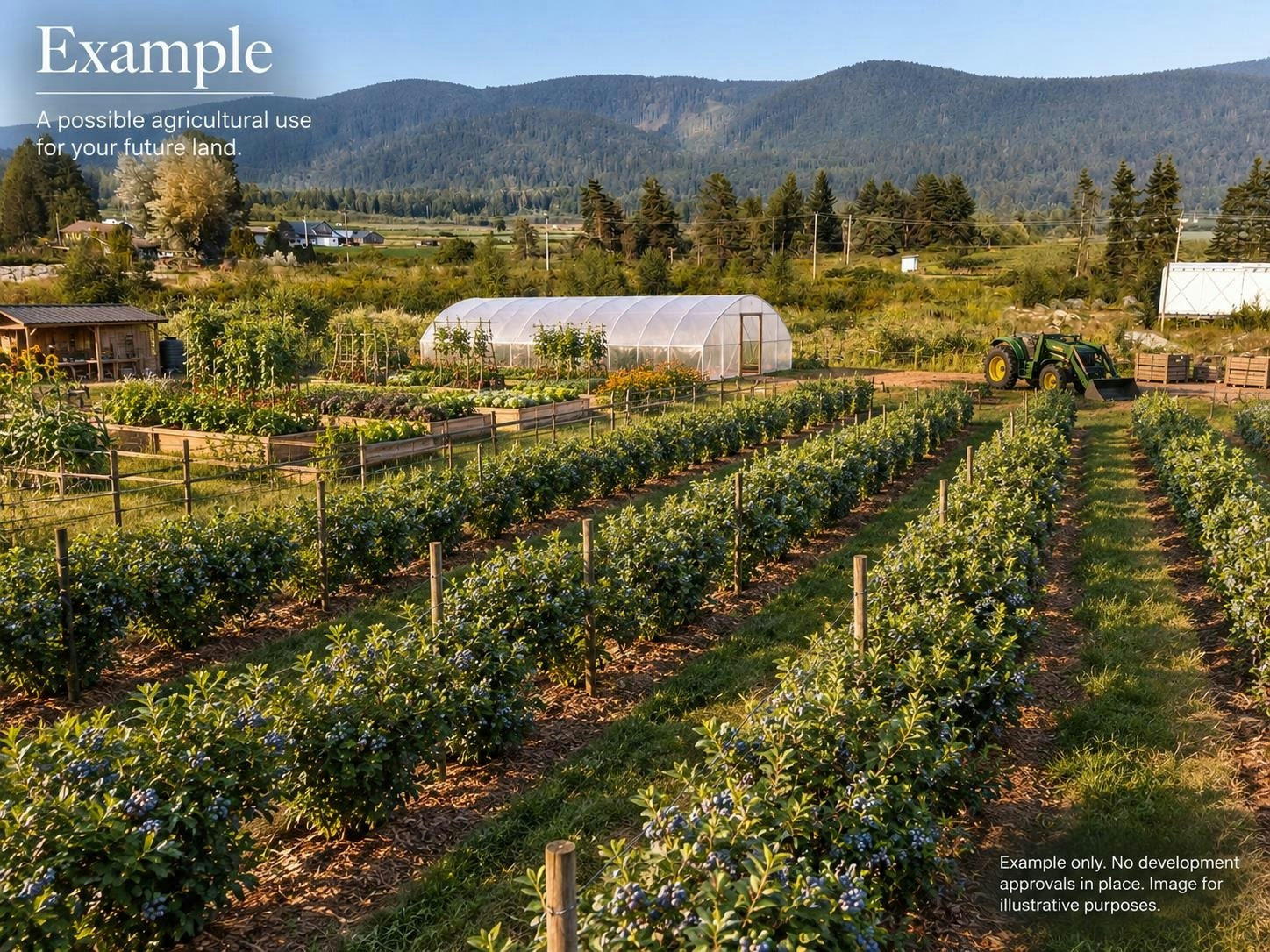 11185 Farms Road, Mission, BC, V2V 4J1 - 18