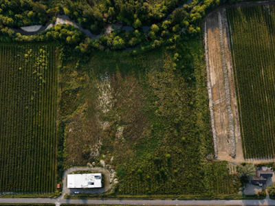 11185 Farms Road - 2