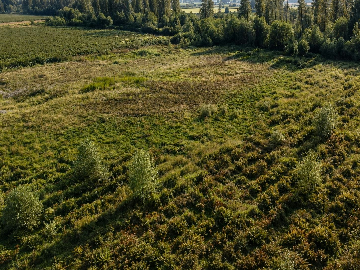 11185 Farms Road, Mission, BC, V2V 4J1 - 11