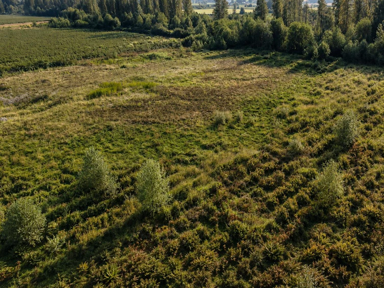 11185 Farms Road, Mission, BC, V2V 4J1 - 11