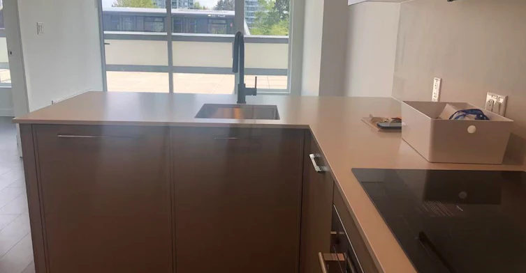 3F-13725 George Junction, Surrey, BC, V3T 0V7 - 5