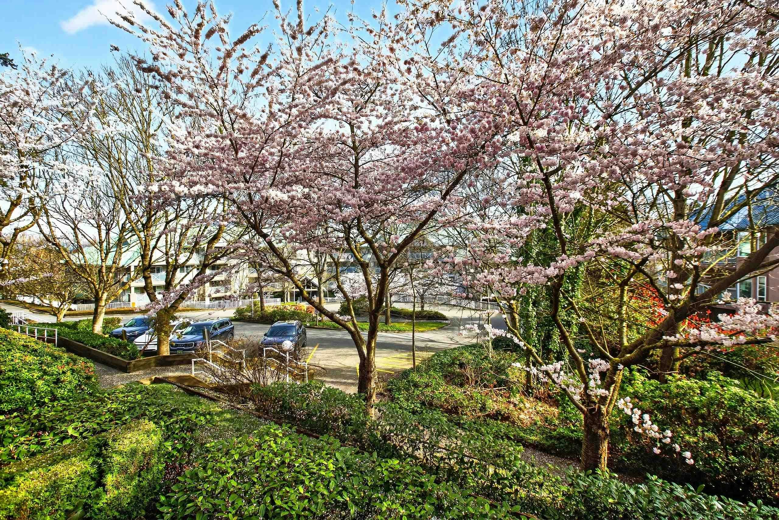 205-15140 29a Avenue, Surrey, BC, V4P 3B1 - 26